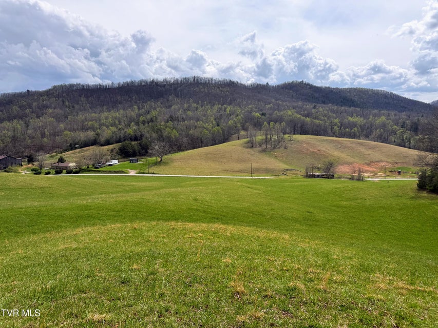 Photo #10: 35/Ac Tbd Houston Valley Tract 1 Road