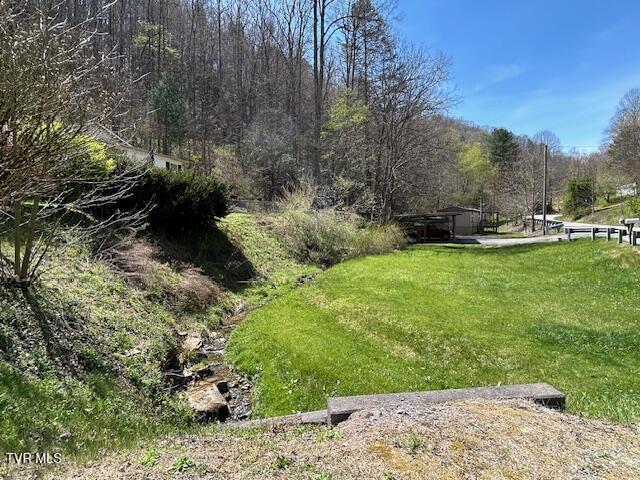 Photo #24: 7036 Bear Branch Road