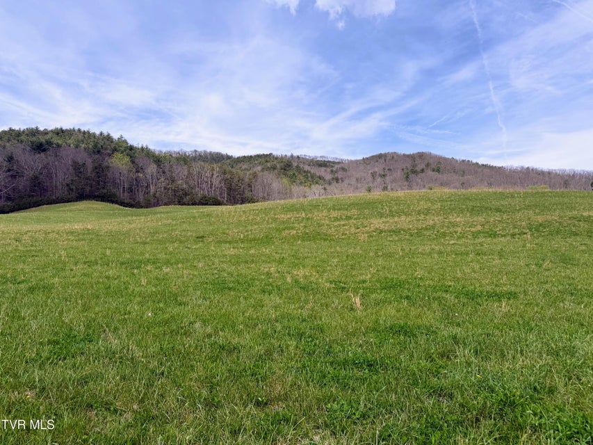 Photo #23: 194/Ac Tbd Houston Valley Rd 