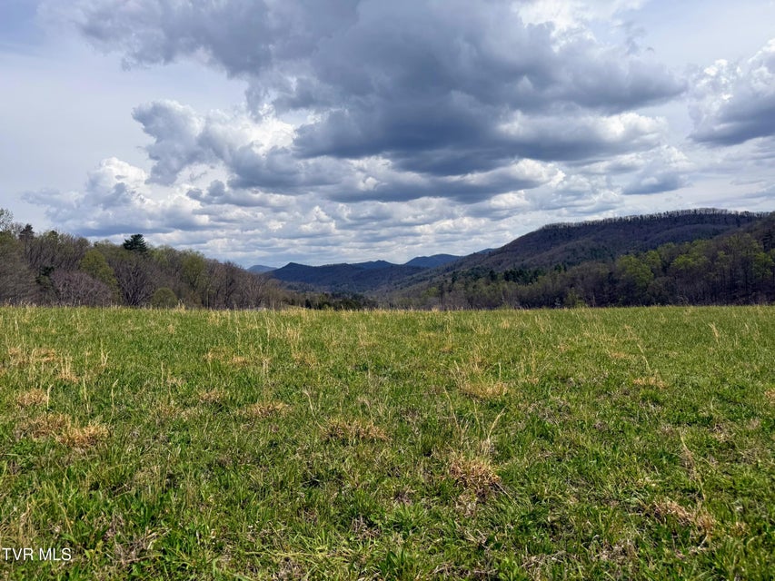 Photo #24: 194/Ac Tbd Houston Valley Rd 