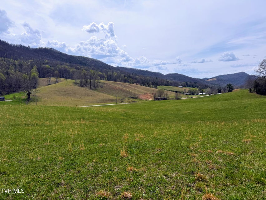 Photo #37: 194/Ac Tbd Houston Valley Rd 