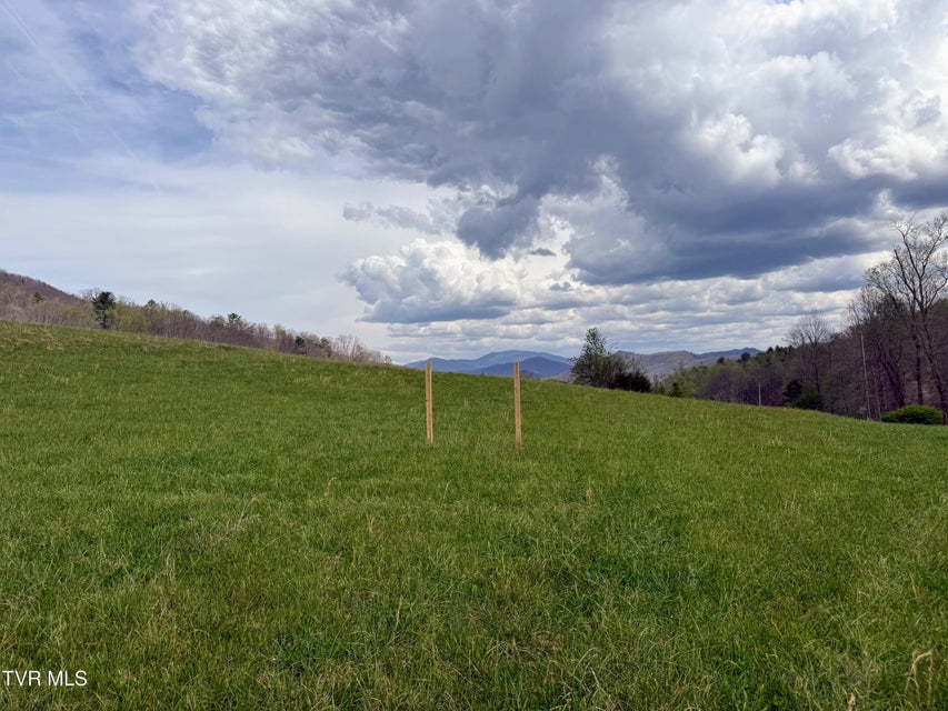 Photo #41: 194/Ac Tbd Houston Valley Rd 