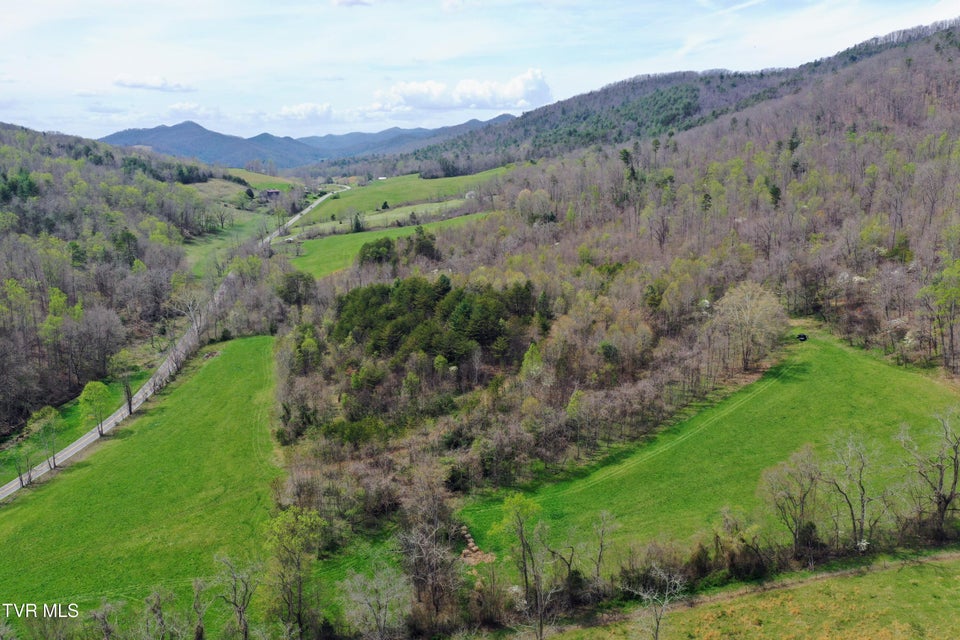 Photo #48: 194/Ac Tbd Houston Valley Rd 