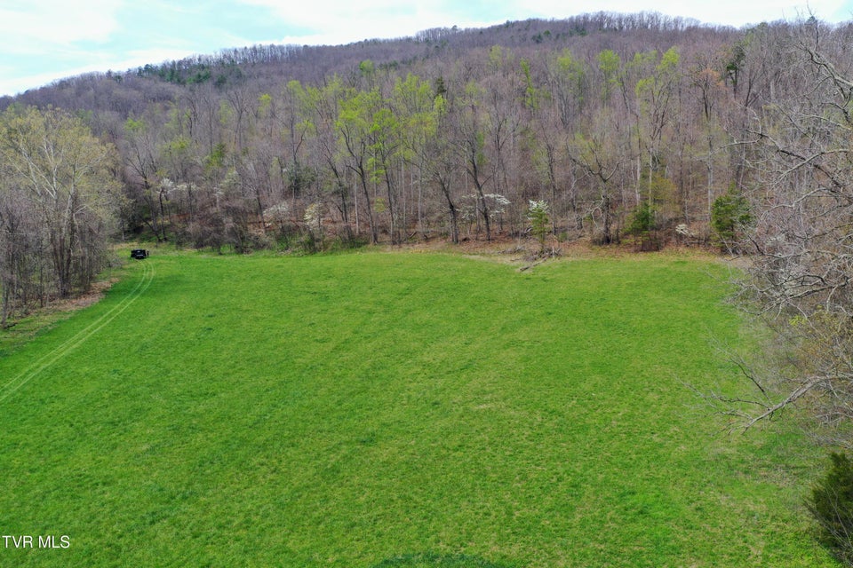 Photo #52: 194/Ac Tbd Houston Valley Rd 