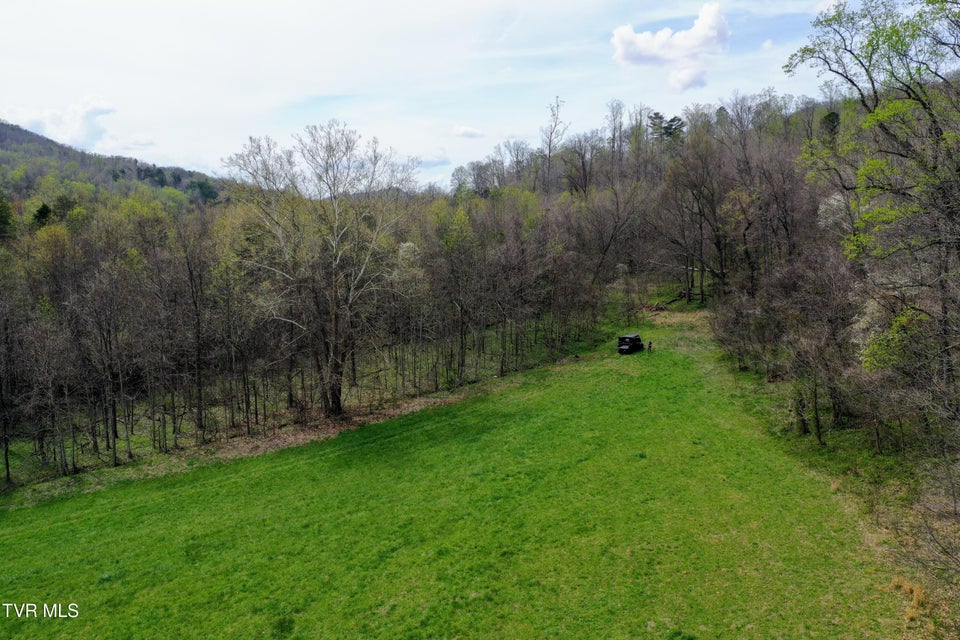 Photo #53: 194/Ac Tbd Houston Valley Rd 