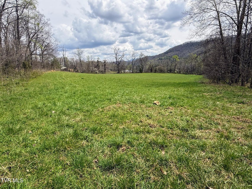 Photo #54: 194/Ac Tbd Houston Valley Rd 