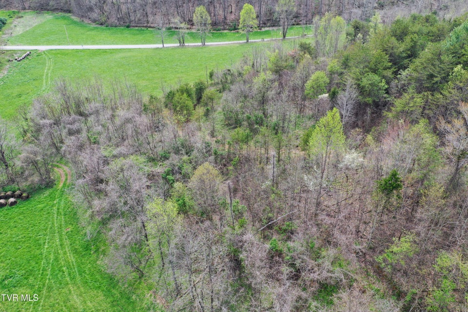 Photo #55: 194/Ac Tbd Houston Valley Rd 