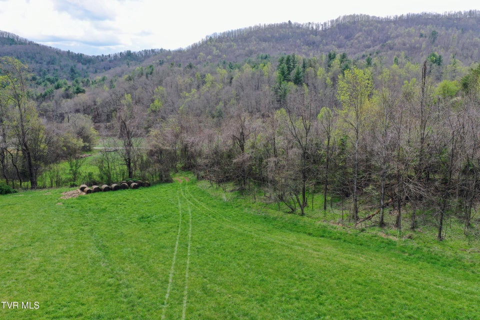 Photo #56: 194/Ac Tbd Houston Valley Rd 