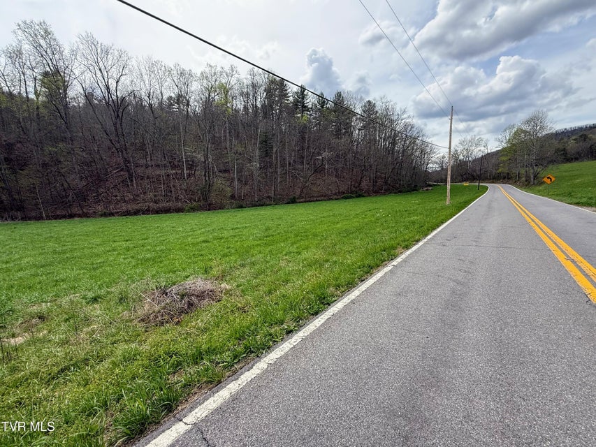 Photo #59: 194/Ac Tbd Houston Valley Rd 