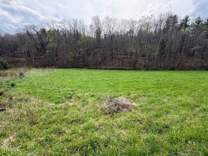 Photo #60: 194/Ac Tbd Houston Valley Rd 