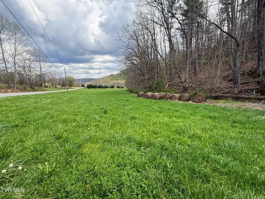 Photo #61: 194/Ac Tbd Houston Valley Rd 