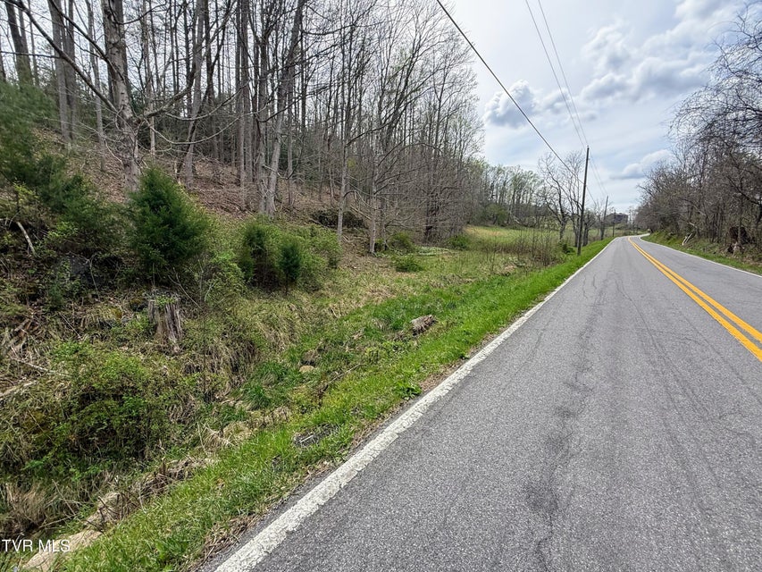 Photo #63: 194/Ac Tbd Houston Valley Rd 