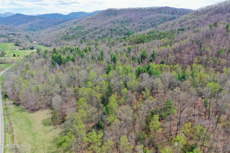 Photo #66: 194/Ac Tbd Houston Valley Rd 