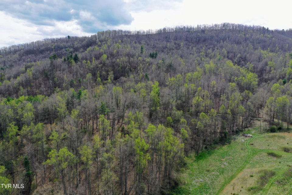 Photo #76: 194/Ac Tbd Houston Valley Rd 