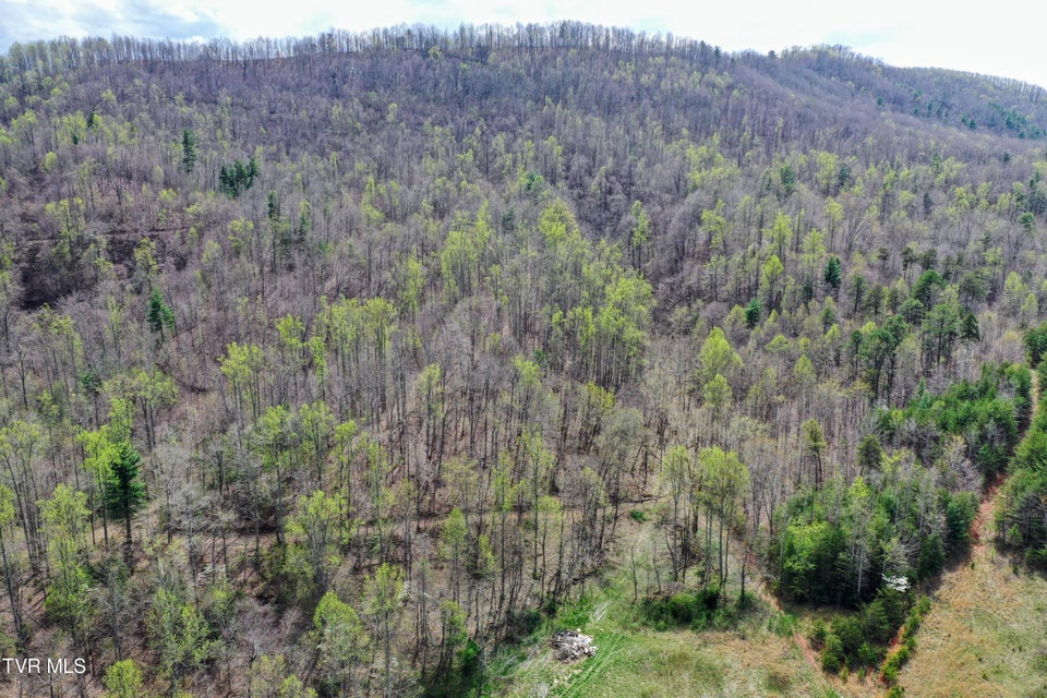 Photo #77: 194/Ac Tbd Houston Valley Rd 