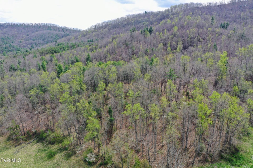 Photo #78: 194/Ac Tbd Houston Valley Rd 