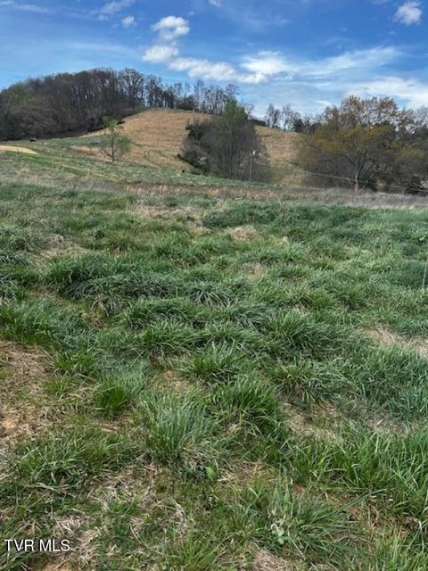 Photo #3: 694 Egypt Road