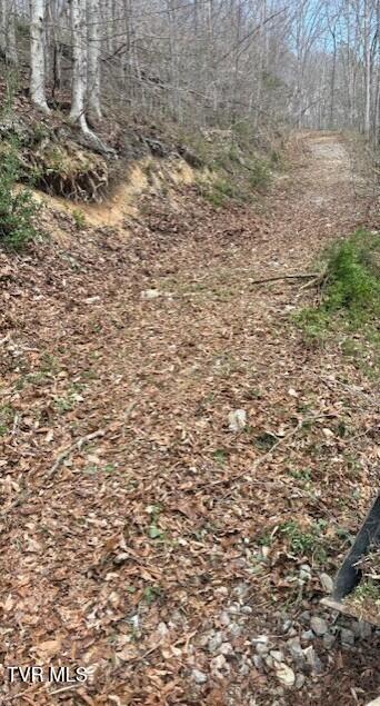 Photo #3: Tbd Sulphur Springs Road