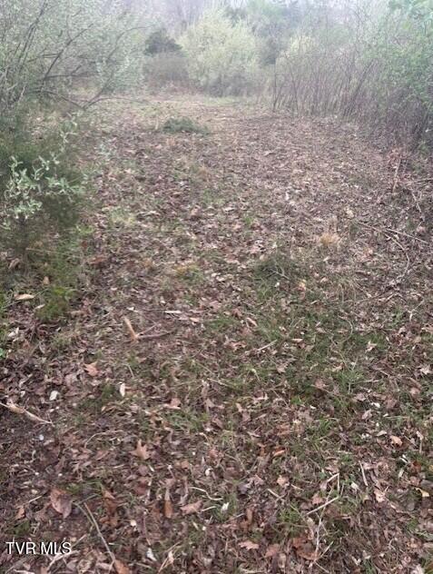 Photo #4: Tbd Sulphur Springs Road