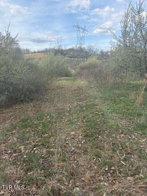 Photo #5: Tbd Sulphur Springs Road