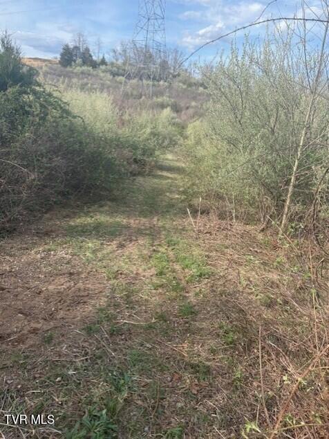 Photo #6: Tbd Sulphur Springs Road