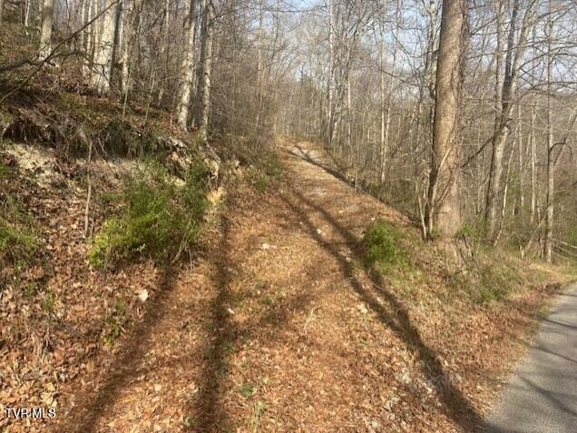 Photo #2: Tbd Sulphur Springs Road