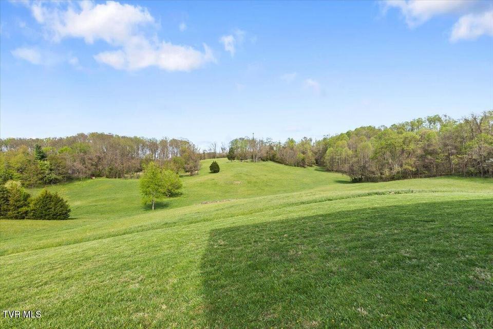 Photo #72: 460 Lowell Jones Road