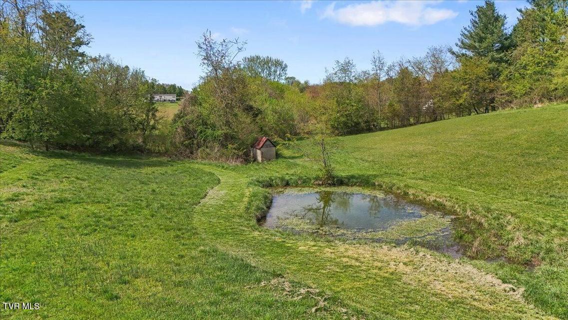 Photo #80: 460 Lowell Jones Road