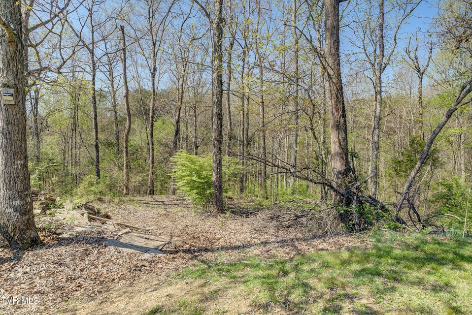 Photo #59: 156 Cobble Lane