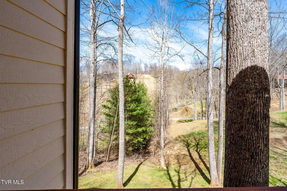 Photo #12: 1135 Cherry Springs Lane