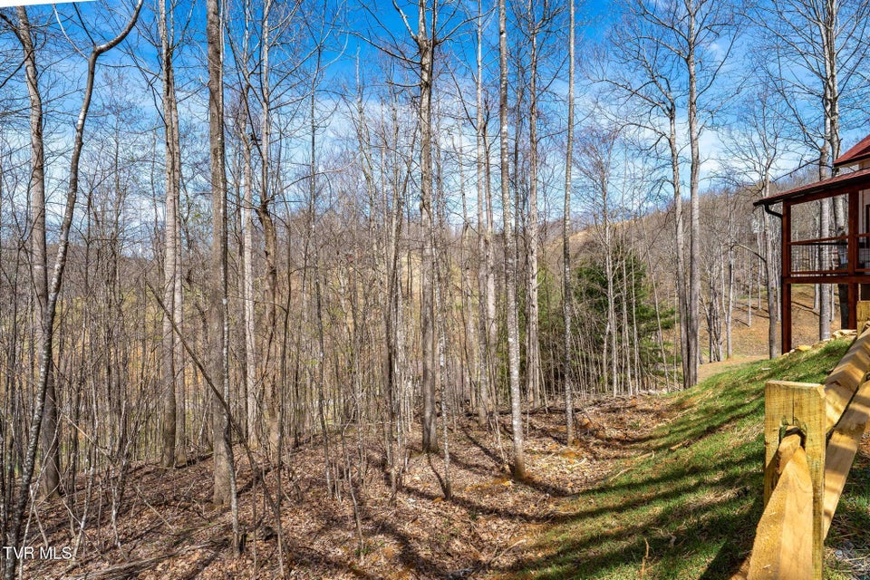 Photo #17: 1135 Cherry Springs Lane