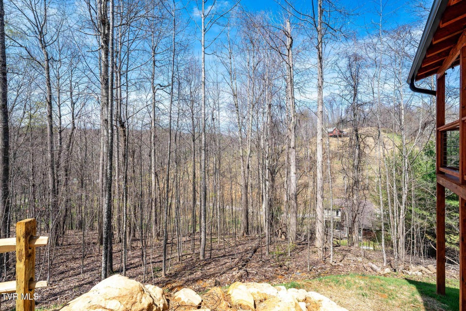 Photo #19: 1135 Cherry Springs Lane