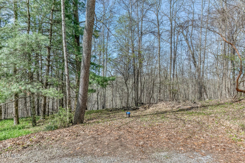 Photo #57: 431 Brentwood Pvt Drive