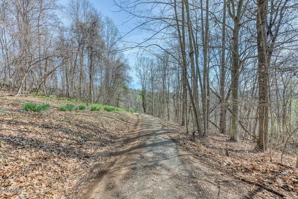 Photo #69: 431 Brentwood Pvt Drive