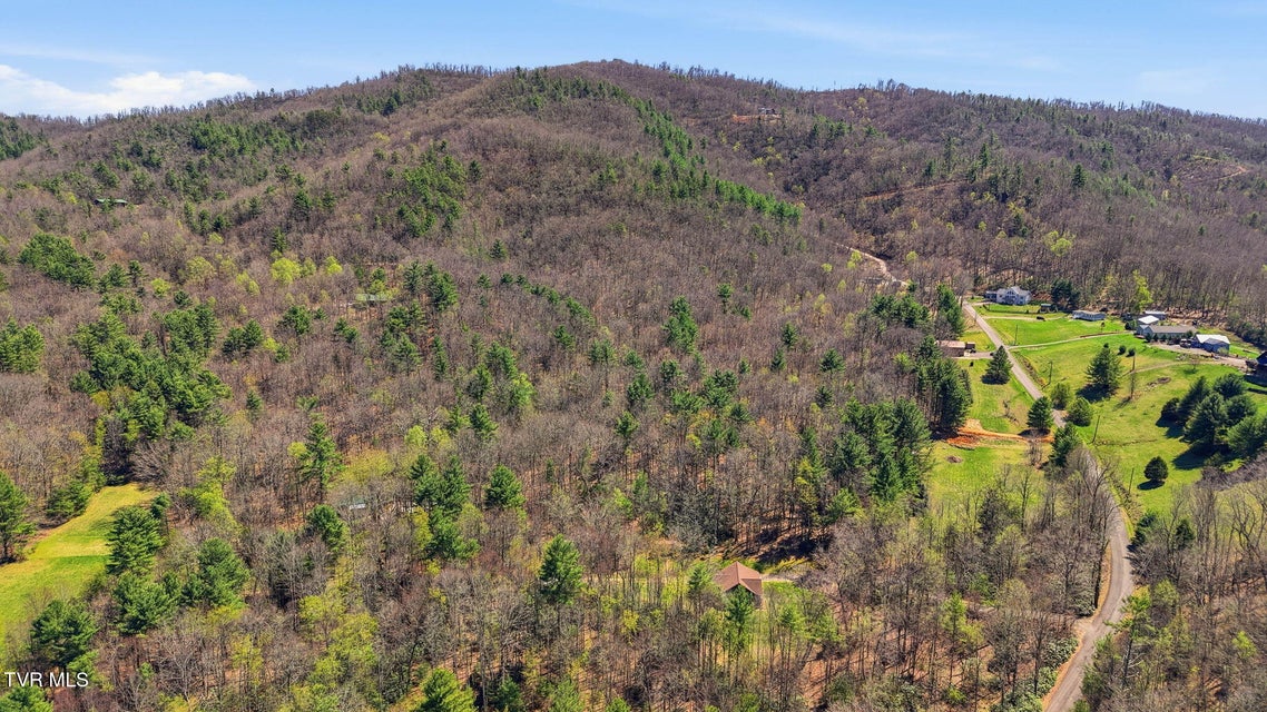 Photo #36: 289 Myrtle Drive