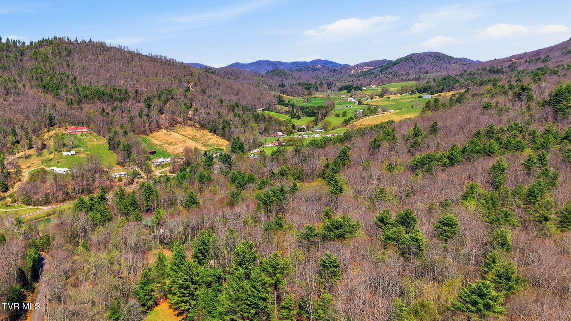 Photo #37: 289 Myrtle Drive