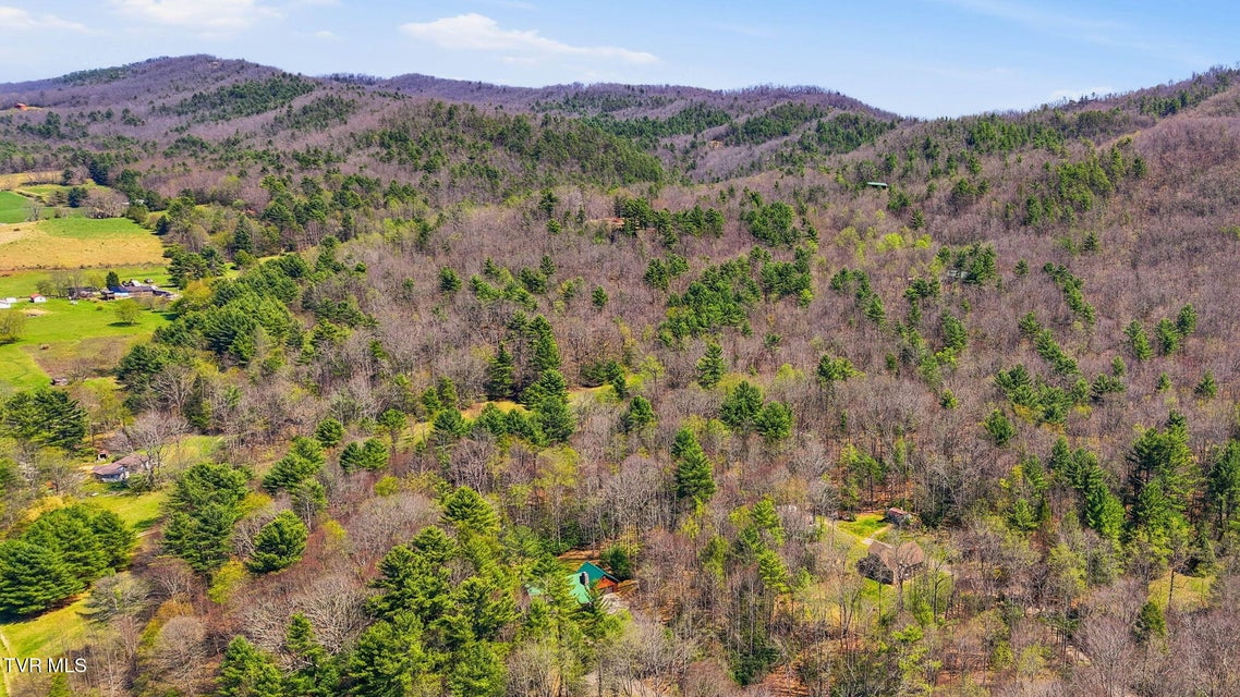 Photo #38: 289 Myrtle Drive