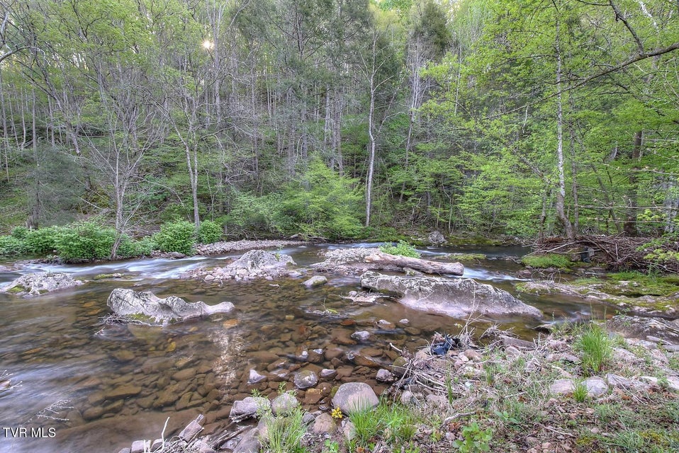 Photo #51: 1658 State Highway 91 