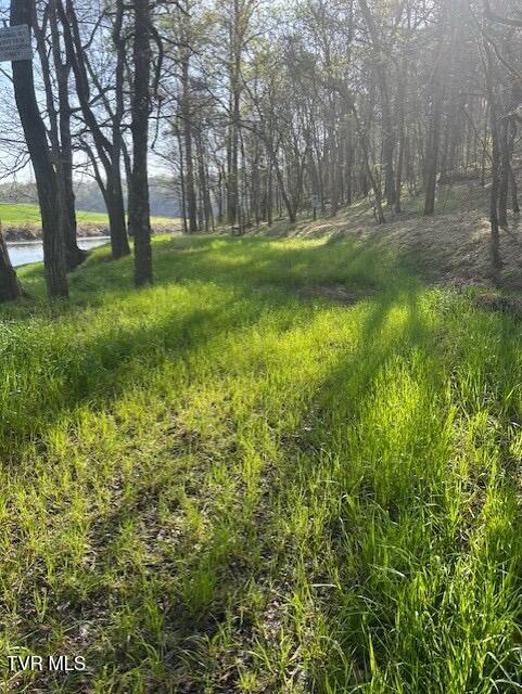 Photo #4: 1633 Poplar Springs Road