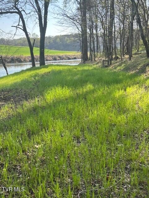 Photo #6: 1633 Poplar Springs Road