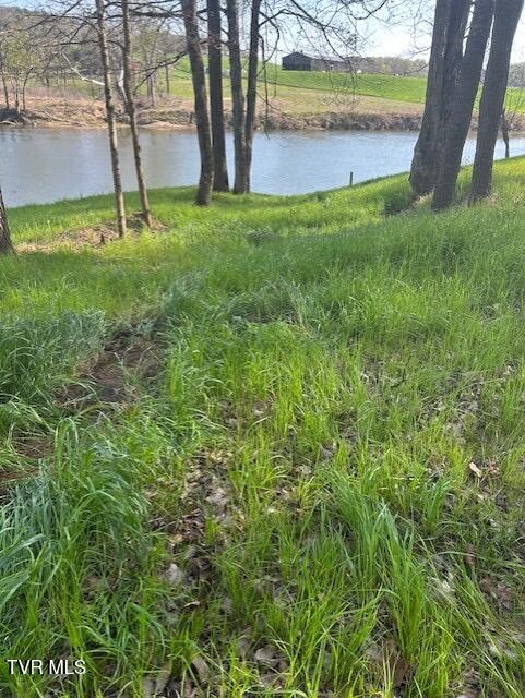 Photo #8: 1633 Poplar Springs Road