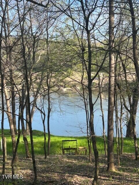 Photo #10: 1633 Poplar Springs Road