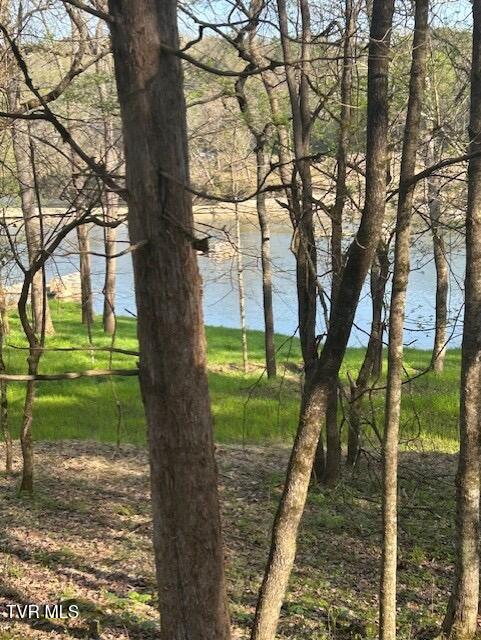 Photo #12: 1633 Poplar Springs Road