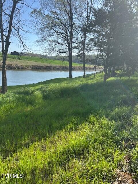 Photo #13: 1633 Poplar Springs Road