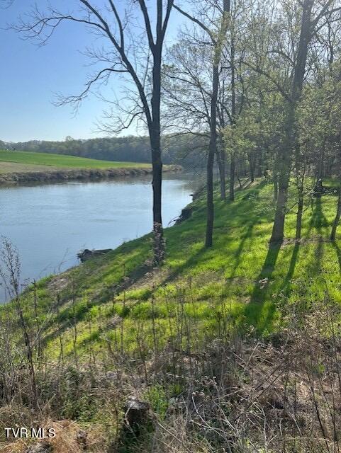 Photo #14: 1633 Poplar Springs Road