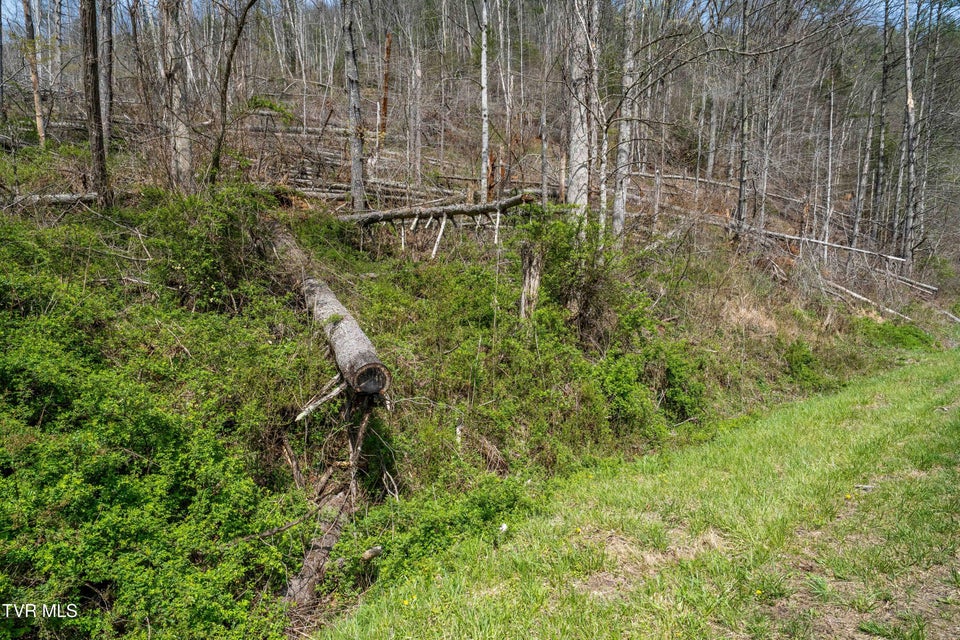 Photo #18: 6646 Roan Creek Road