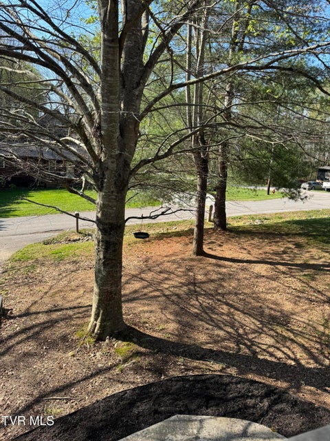 Photo #30: 140 Teague Lane