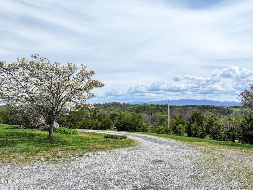 Photo #49: 255 Old Kentucky Road