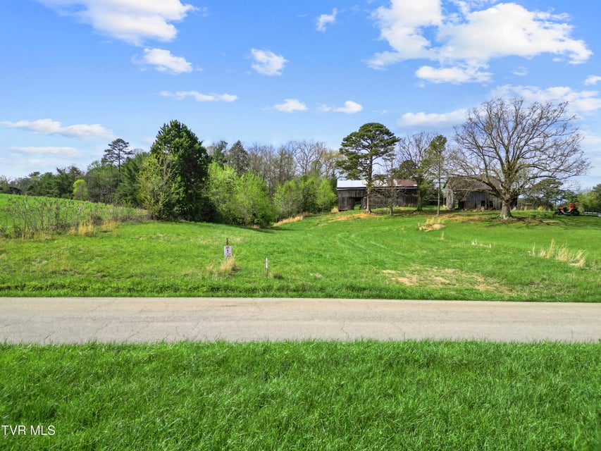 Photo #11: Tract 1 Red Hill Road