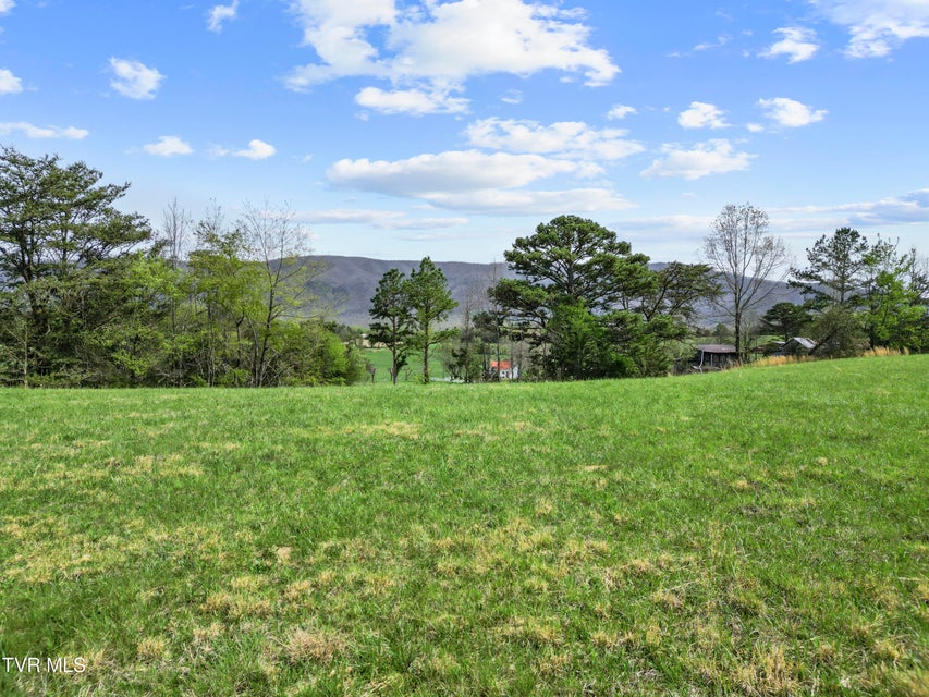 Photo #12: Tract 2 Red Hill Road